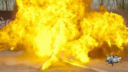 扩散！这些澳洲保健品不能随身带上机！华人小伙带了，全被海关没收