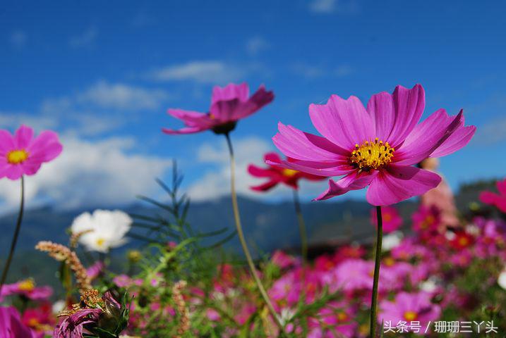 蓝天拍照的技巧和窍门,天空拍摄风格有哪几种