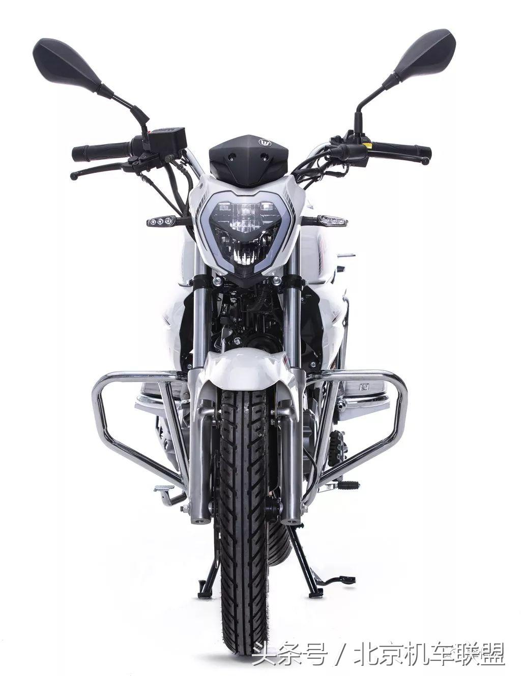 猛龙御龙钱江龙,钱江新御龙多少钱