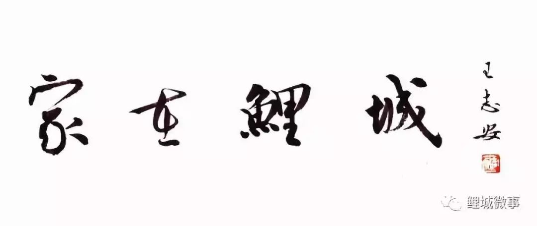 「家在鲤城」青草丹膏解病痛，世德传家医者心