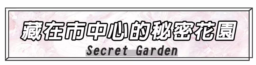 傲娇！藏在解放南路的「花园餐厅」只有6张桌！道明寺来也要预约