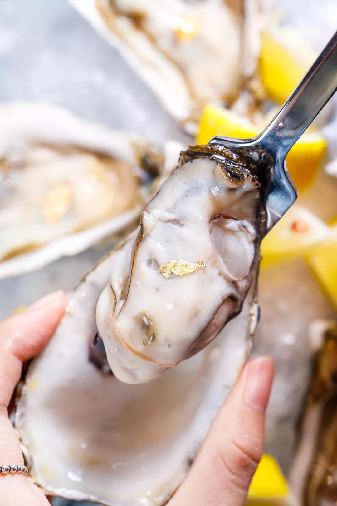 傲娇！藏在解放南路的「花园餐厅」只有6张桌！道明寺来也要预约