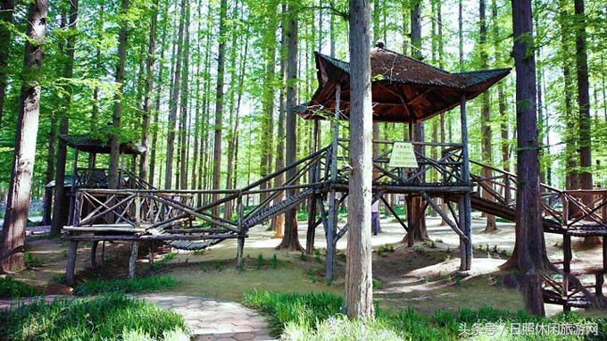 日照直播,日照房价