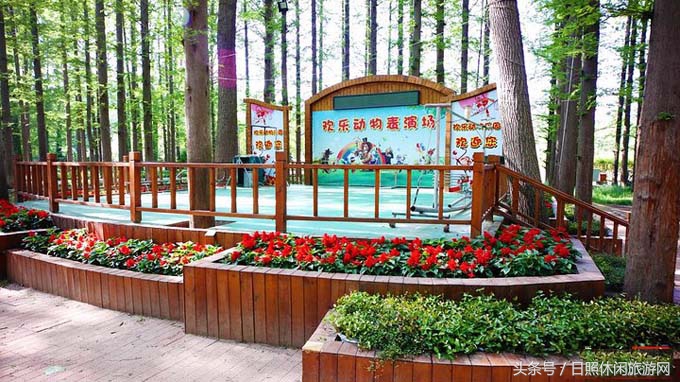 日照直播,日照房价