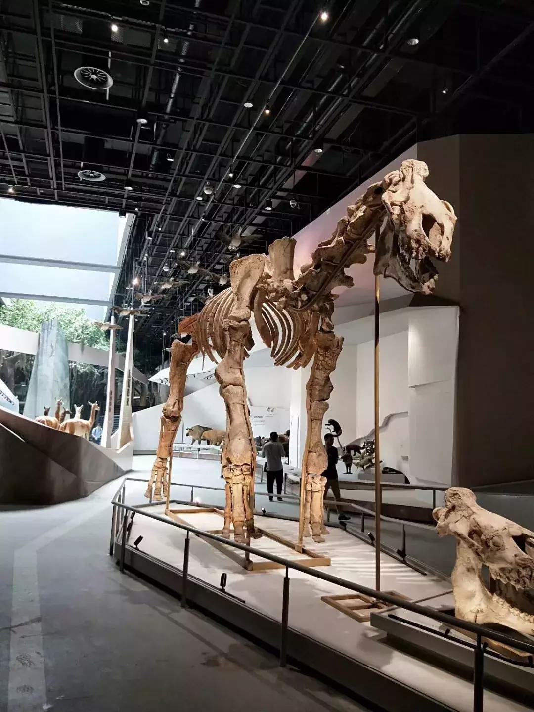 民航局要求退机票,民航取消机票改签不需要补差价吧