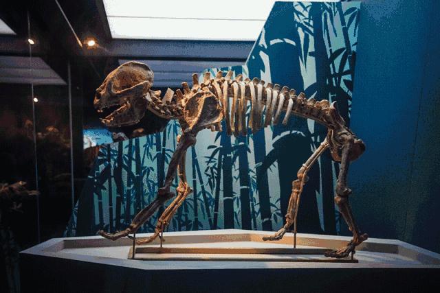 民航局要求退机票,民航取消机票改签不需要补差价吧