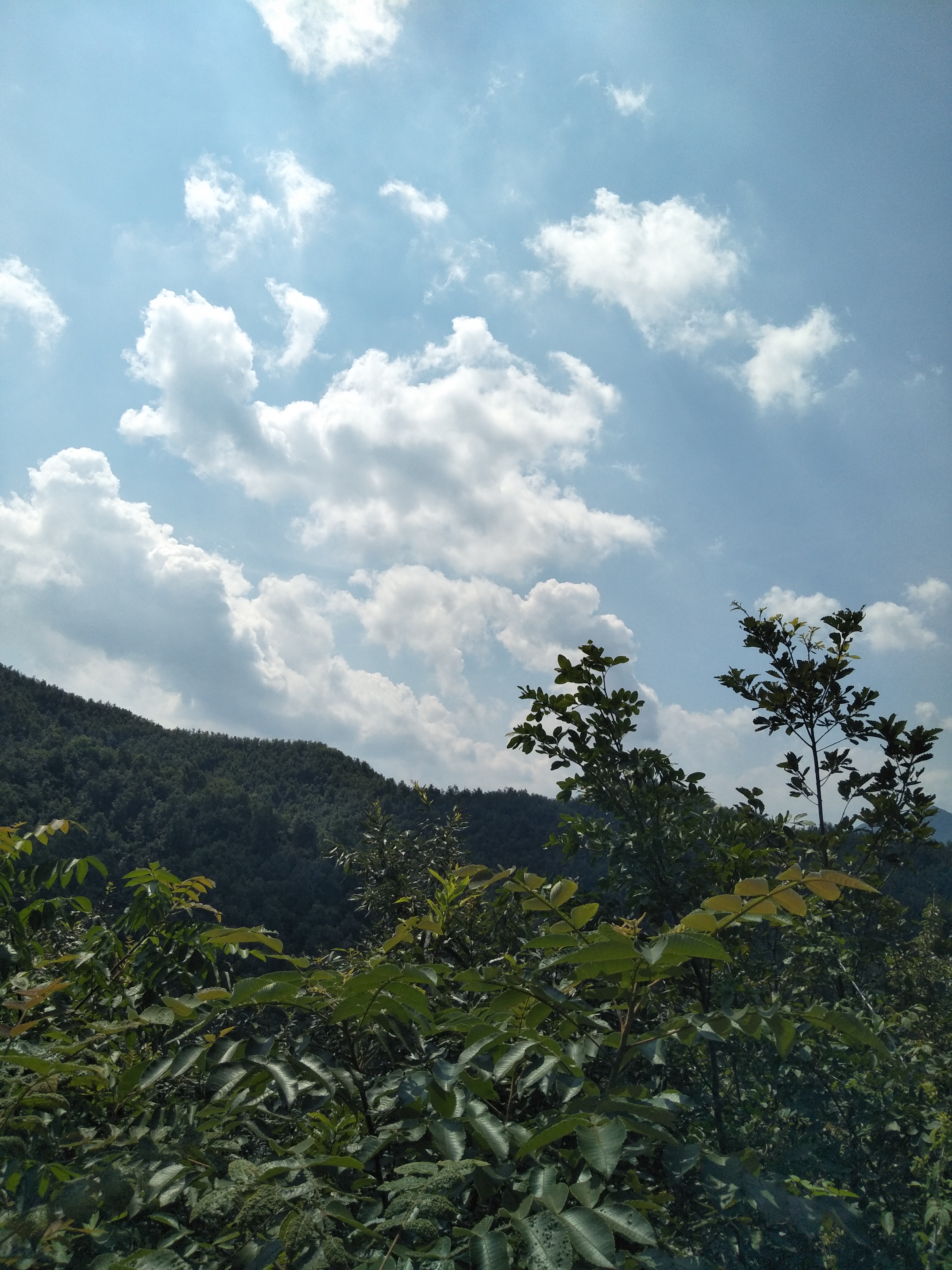宝天曼景区最佳旅游季节,南召县宝天曼风景区