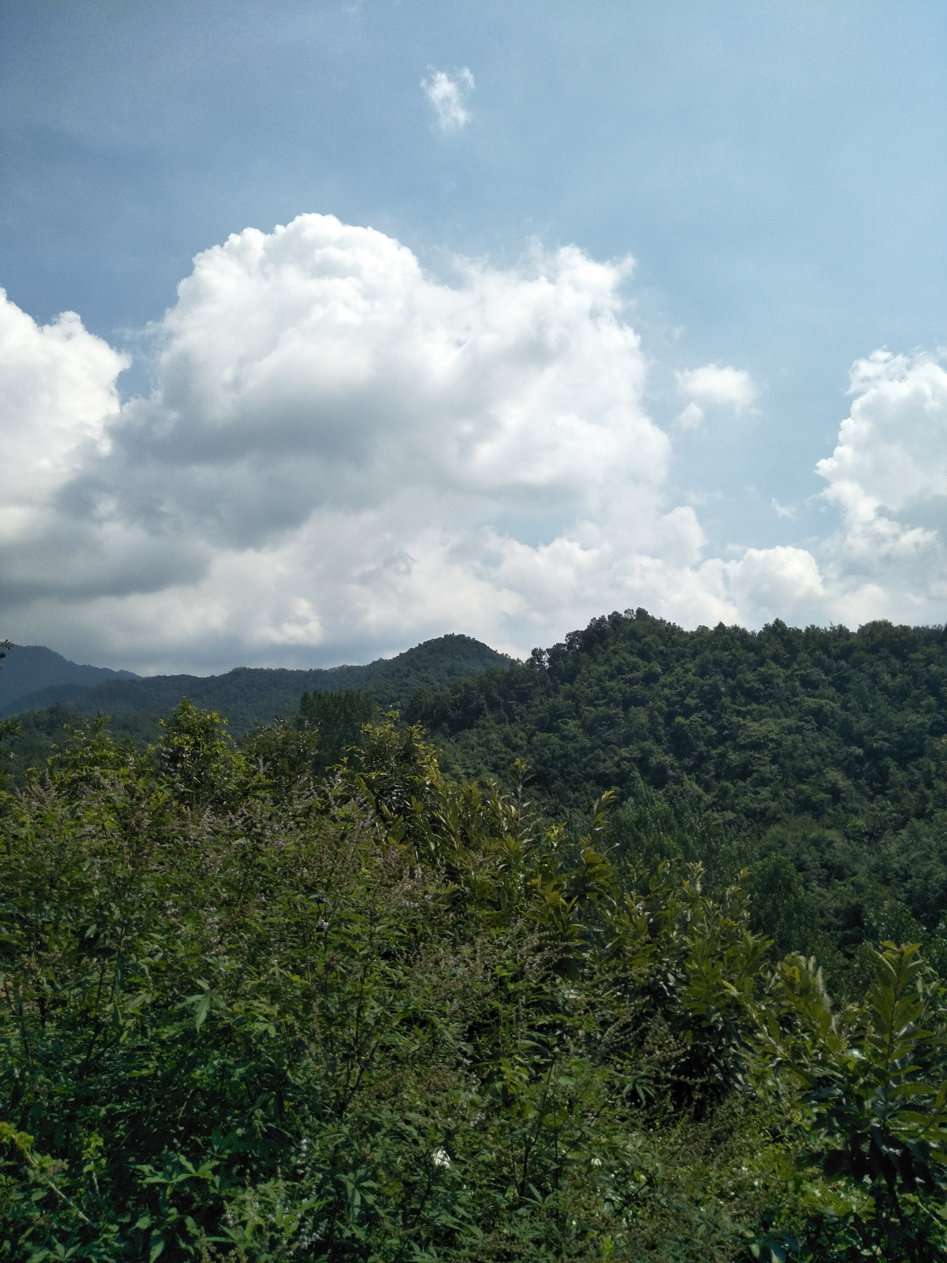 宝天曼景区最佳旅游季节,南召县宝天曼风景区
