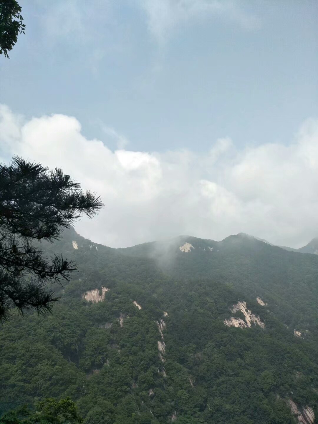 宝天曼景区最佳旅游季节,南召县宝天曼风景区