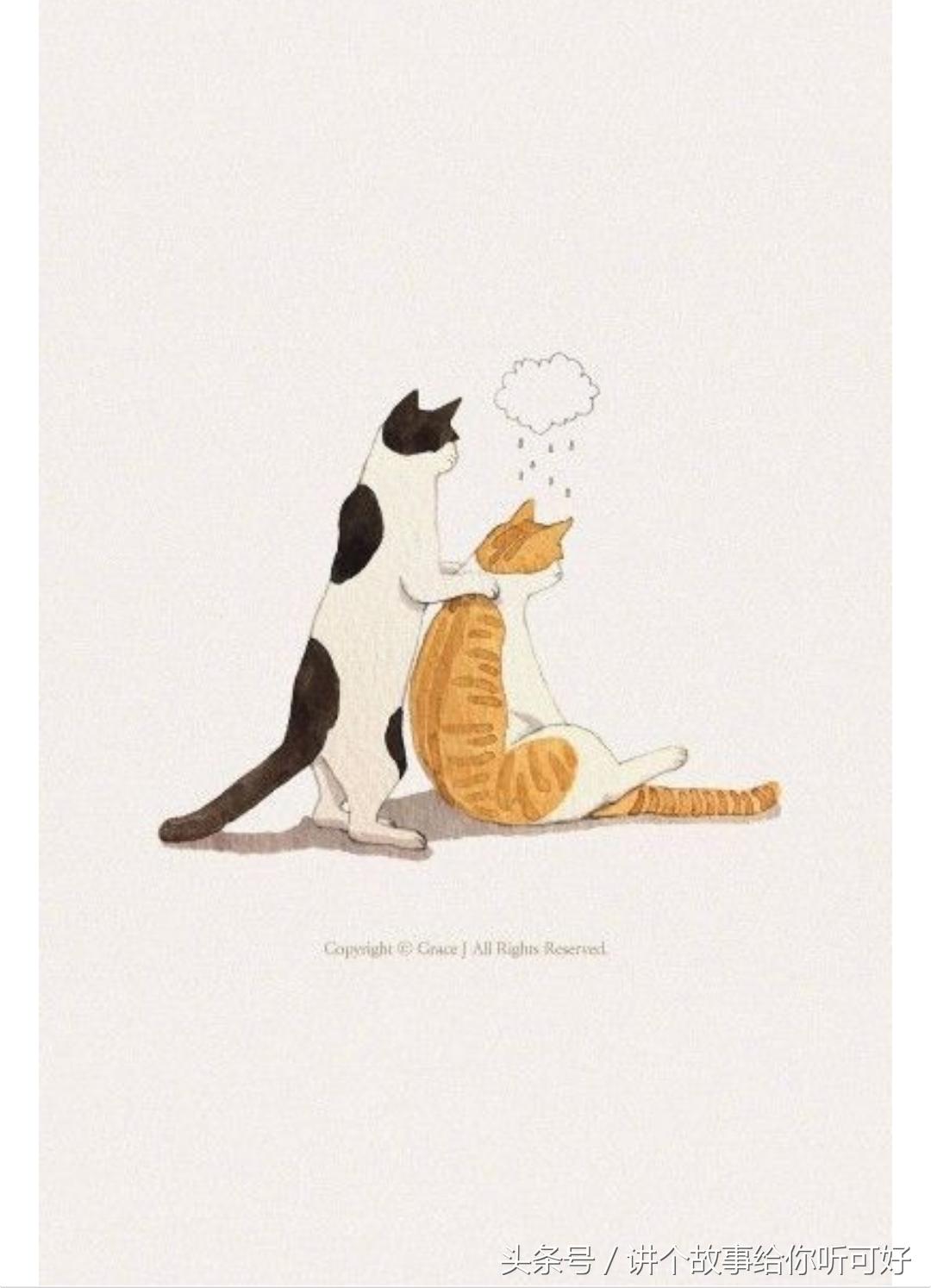 精神病系列故事,精神病的故事全集