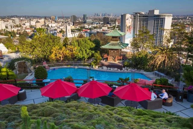 这家网红餐厅在美国据说价格比咋国内还便宜