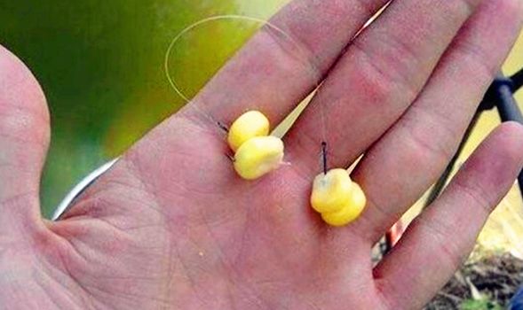 简单好用的玉米粒饵,野钓玉米粒饵最好用的是哪一款