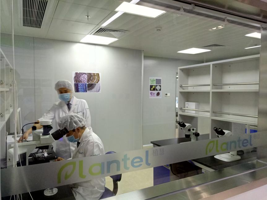 深圳市植慧植物干细胞研究院揭牌丨全球首个“植物干细胞银行(中国)”深圳正式运营