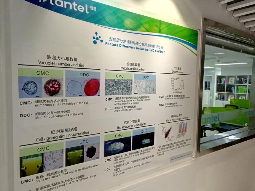 深圳市植慧植物干细胞研究院揭牌丨全球首个“植物干细胞银行(中国)”深圳正式运营