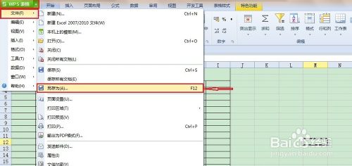 怎样设置wps表格密码,怎么给自己的wps设置密码