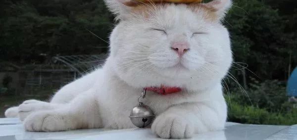 手把手教你一招去掉闭口,去闭口最快的方法亲测