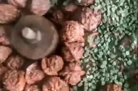 老核桃的种类及辨别,盘了几十年的老核桃长什么样