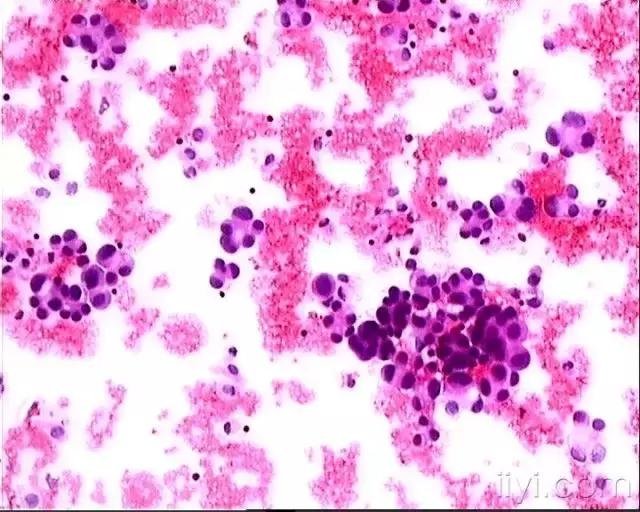 震撼人类未解之谜,震撼世界的惊人真相