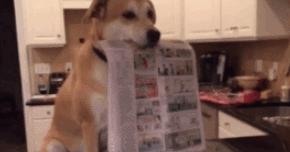 为什么大胃王们可以一次性吃下那么多东西？