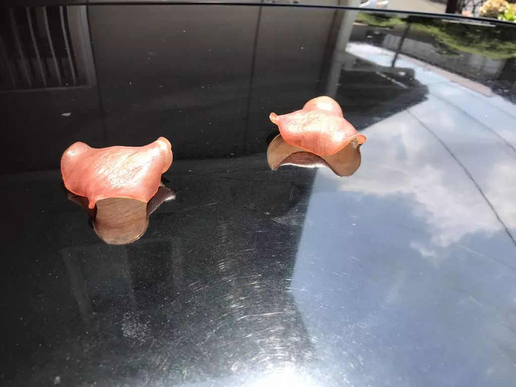 日本一周内超9千人中暑,日本中暑送医人数增多