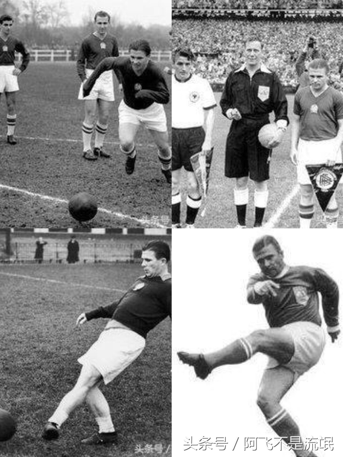 足坛历史十大10号巨星,足坛历史十大巨星排名