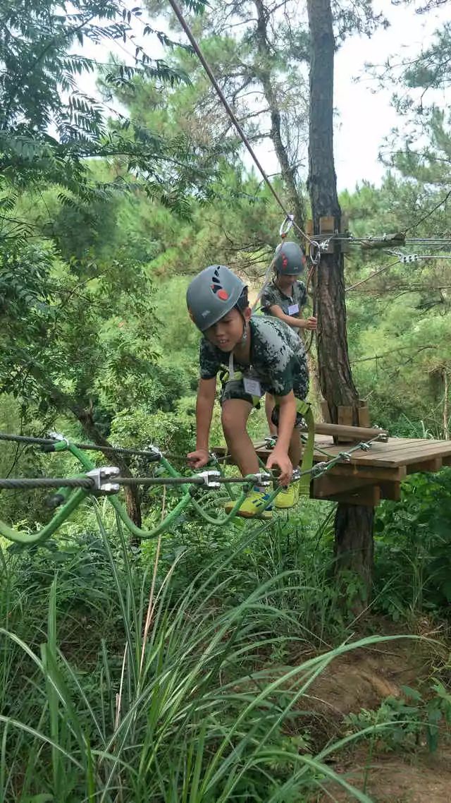 为什么要让6-16的孩子参加夏令营,孩子为什么要参加青少年夏令营