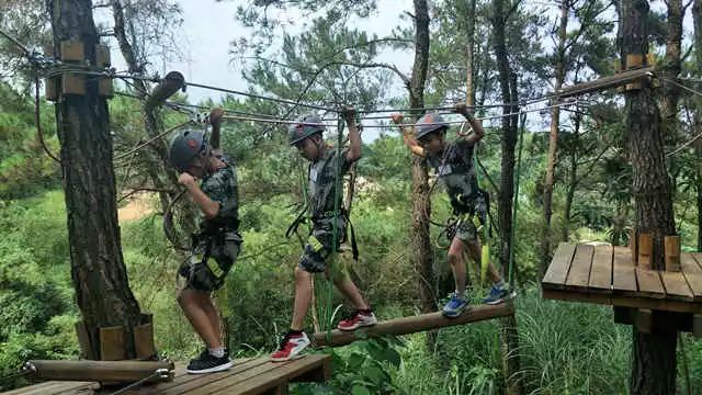 为什么要让6-16的孩子参加夏令营,孩子为什么要参加青少年夏令营