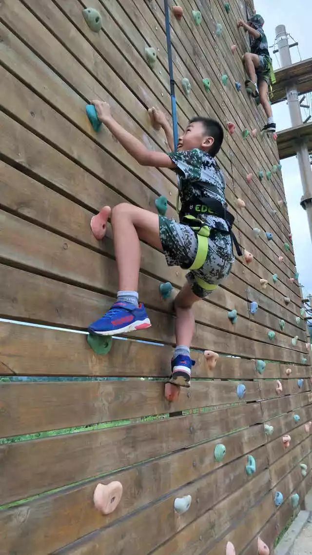 为什么要让6-16的孩子参加夏令营,孩子为什么要参加青少年夏令营