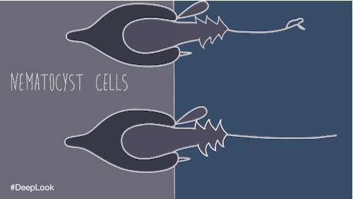 疼痛10大等级哪一级泪流满面,疼痛等级一百级分别都是什么