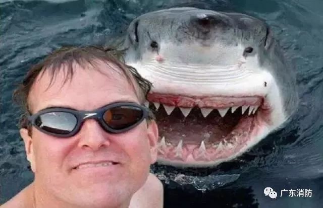 要命还是要赞?这些nozuonodie的自拍吓的小编手机都掉了!