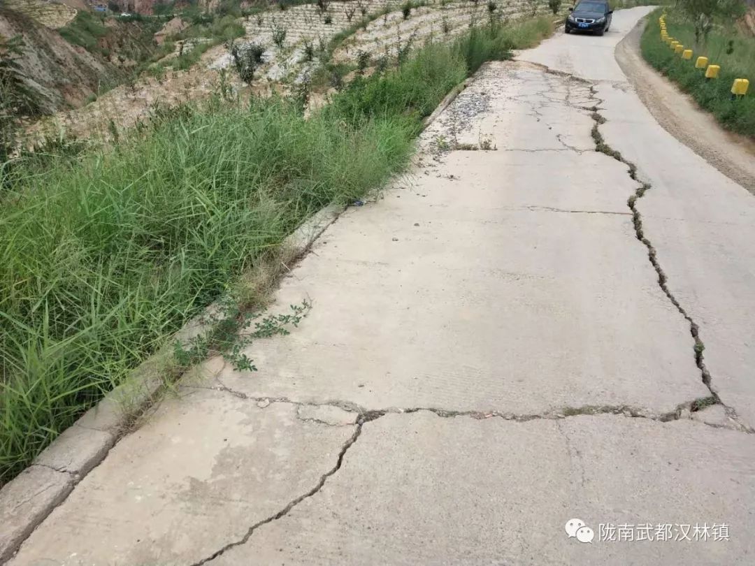 「爱心捐赠」区人大代表、欣达集团董事长李义新献爱心陇南市武都区汉林镇三家地灾区捐款仪式