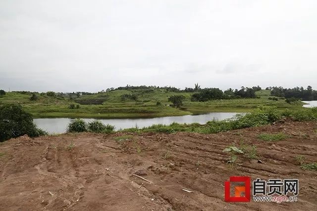 自贡市未来的绿芯,自贡未来五年的变化