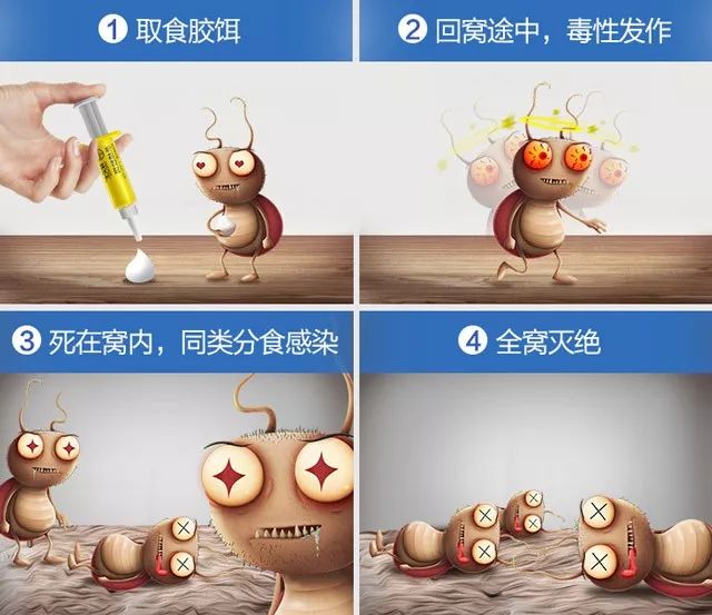 滴一滴，蟑螂全家死光光，对人、宠无害的杀蟑胶饵