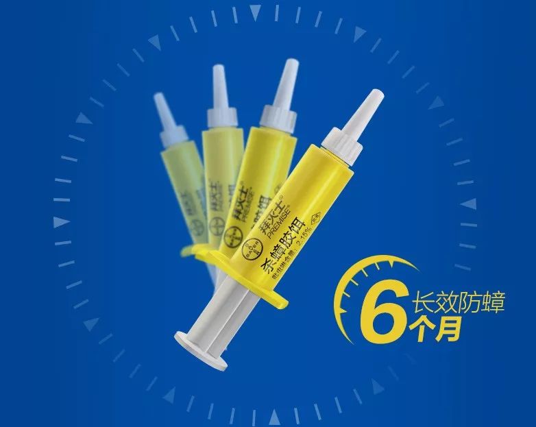 滴一滴，蟑螂全家死光光，对人、宠无害的杀蟑胶饵