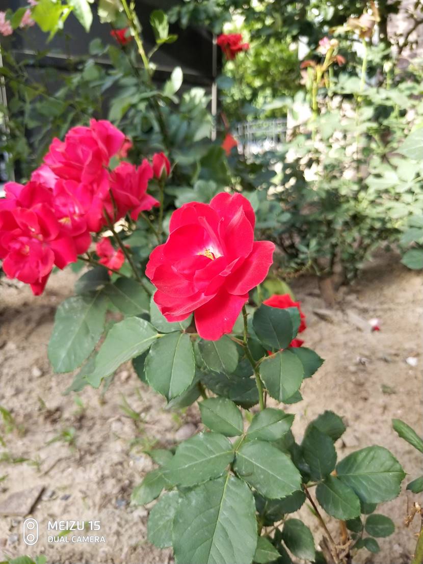 魅族15发布回顾完整,现在的魅族15还值得入手吗