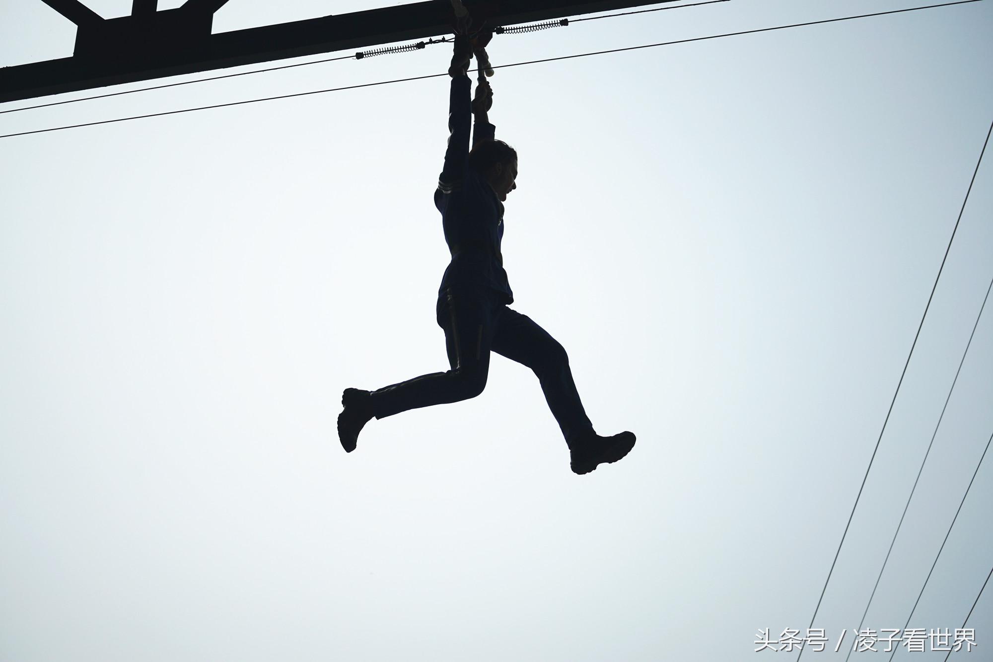 沙滩拾贝壳景区,沙滩花海美景