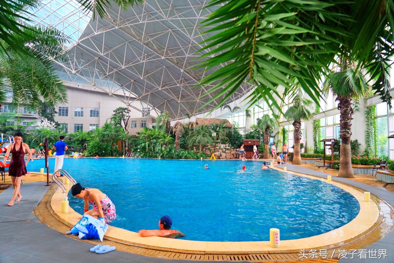 沙滩拾贝壳景区,沙滩花海美景