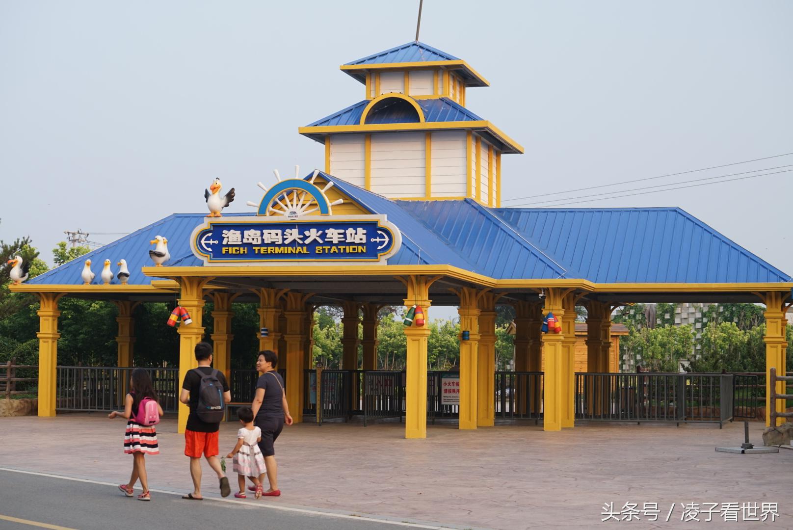 沙滩拾贝壳景区,沙滩花海美景