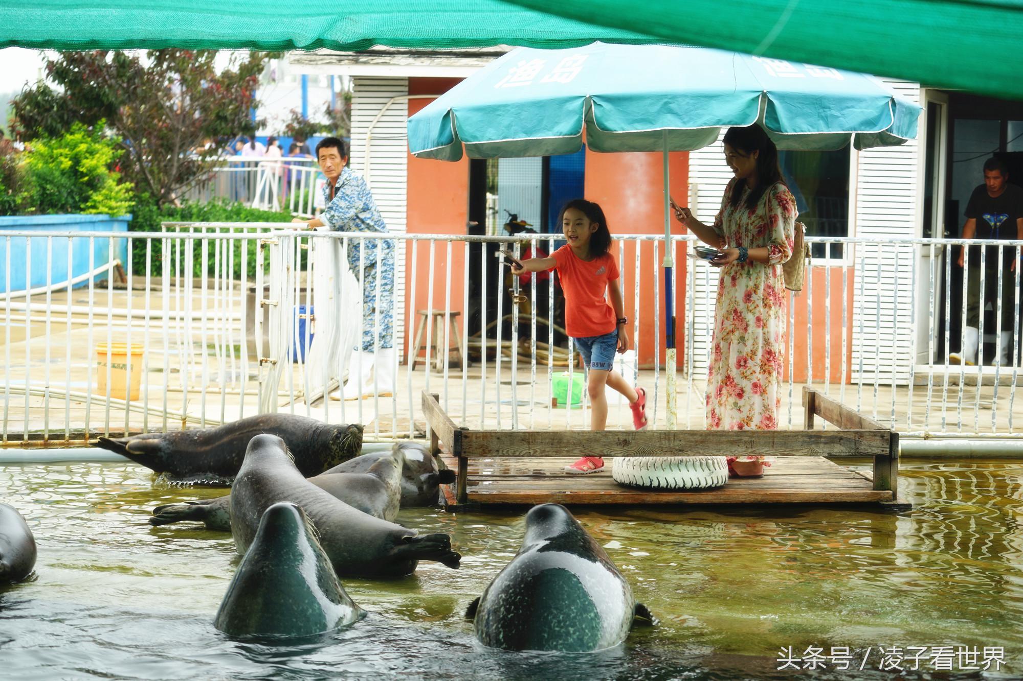 沙滩拾贝壳景区,沙滩花海美景