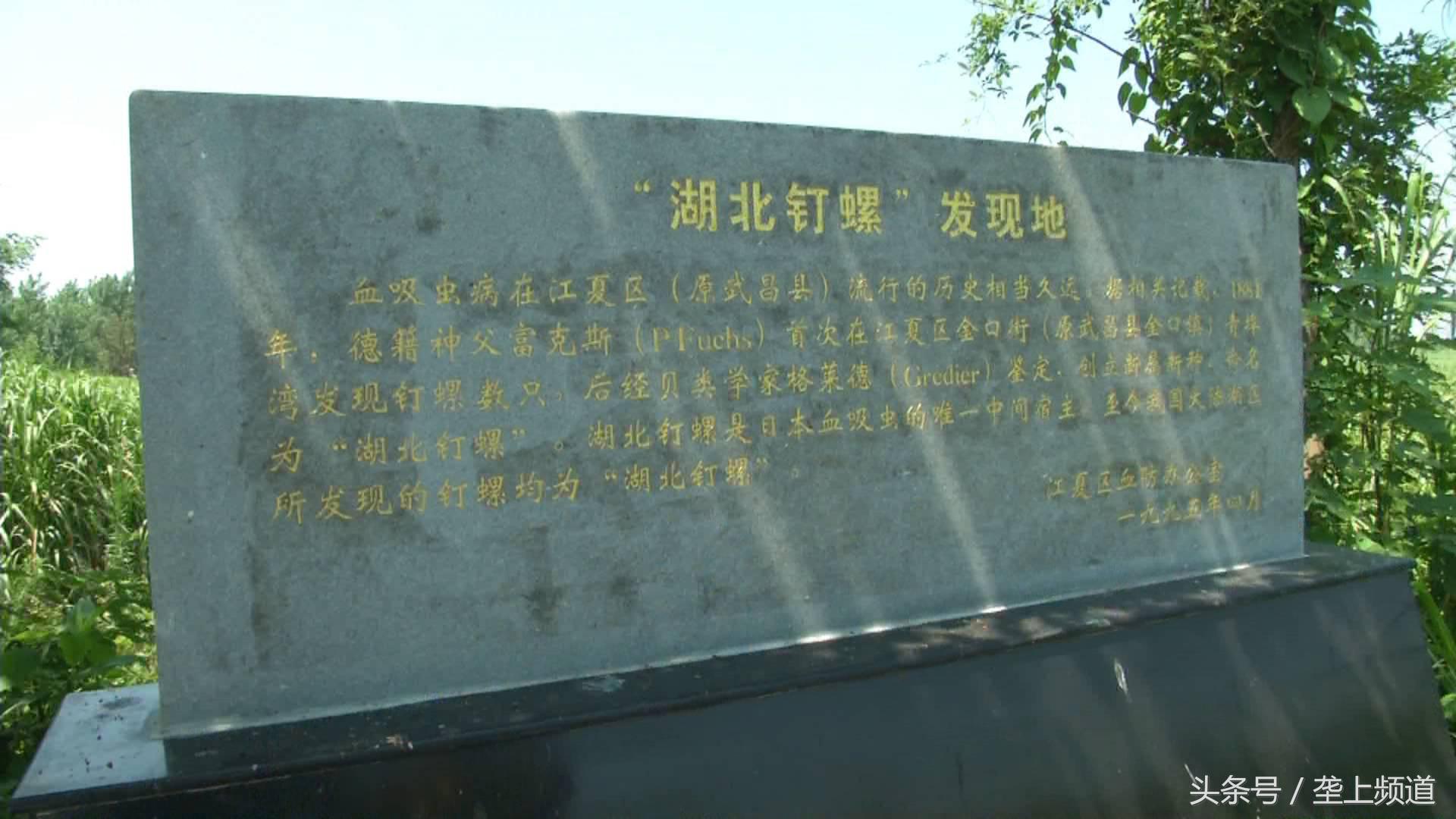 血吸虫病感染率,血吸虫病流行现状