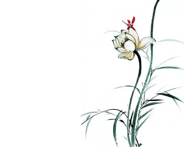 心不由己是什么感觉,心不由己身岂能由己