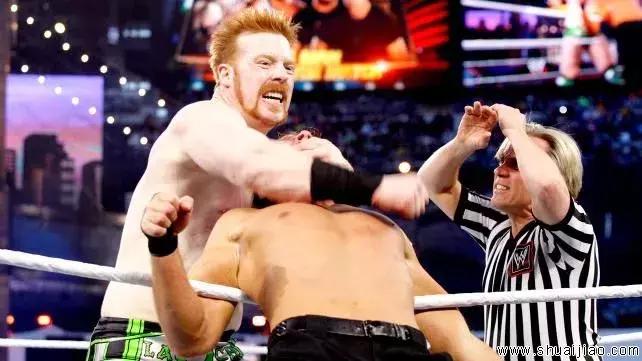 wwe最强大的五大摔角手,wwe美国摔角上升40人淘汰赛