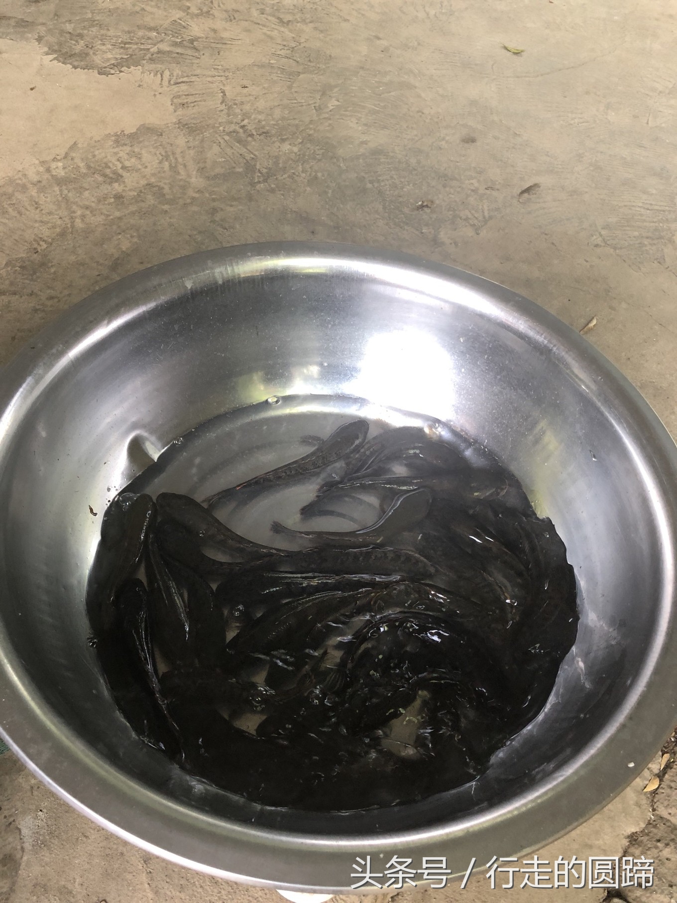 这个被誉为中国10大古镇之首的小镇,到底美在哪里?