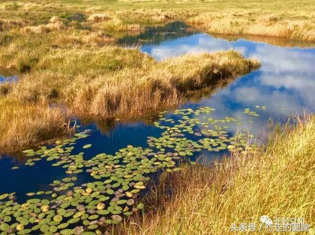 这个被誉为中国10大古镇之首的小镇,到底美在哪里?