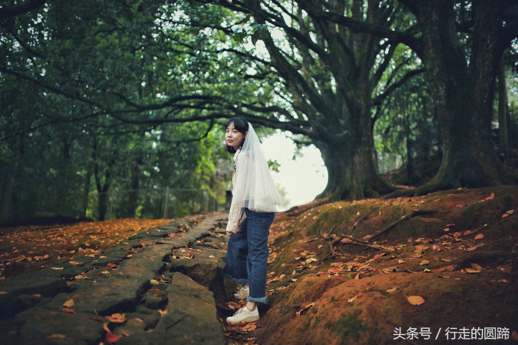 这个被誉为中国10大古镇之首的小镇,到底美在哪里?