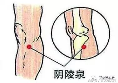 夏天排毒祛湿最快的方法,夏天排湿排毒