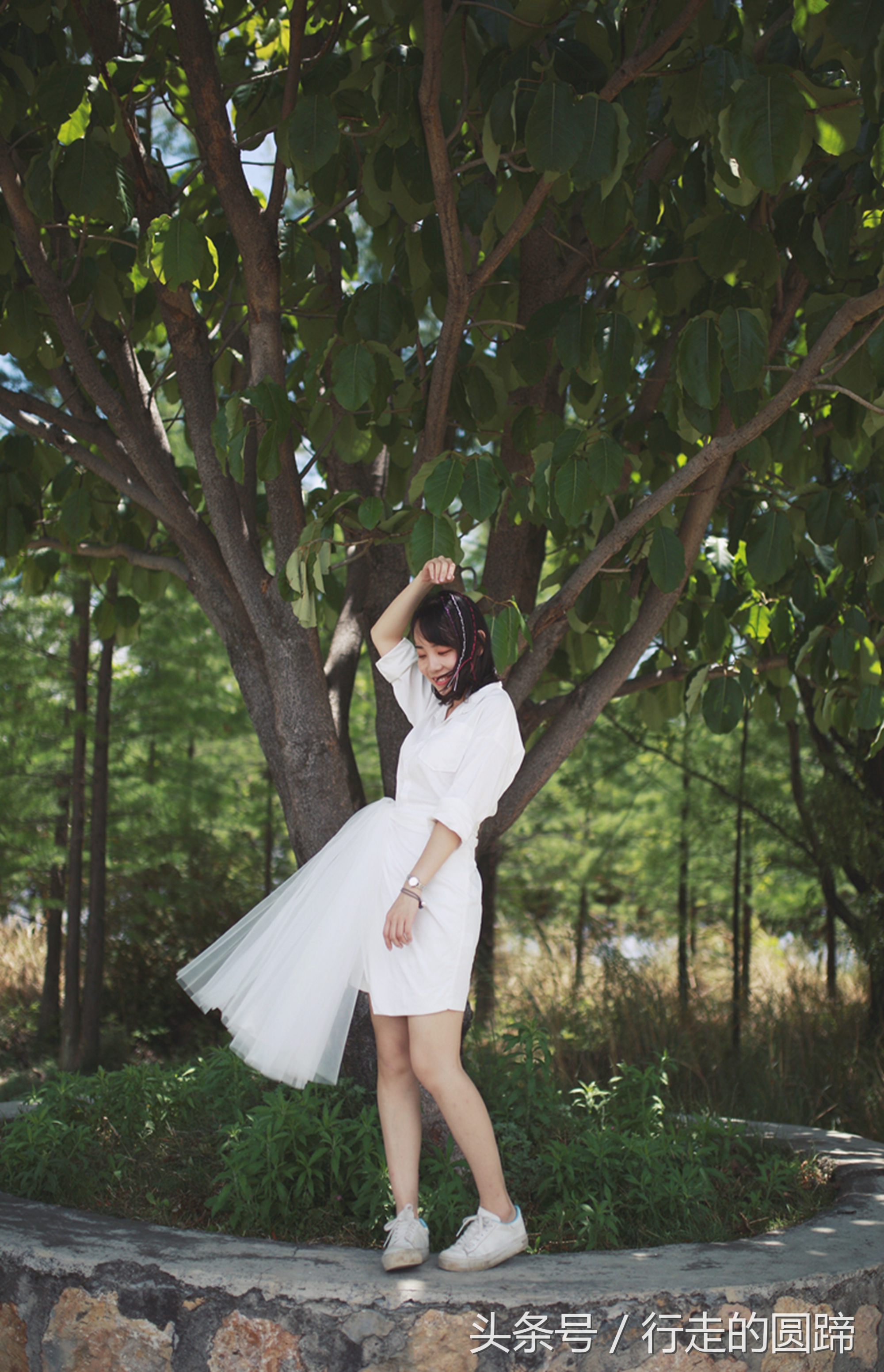 这个被誉为中国10大古镇之首的小镇,到底美在哪里?