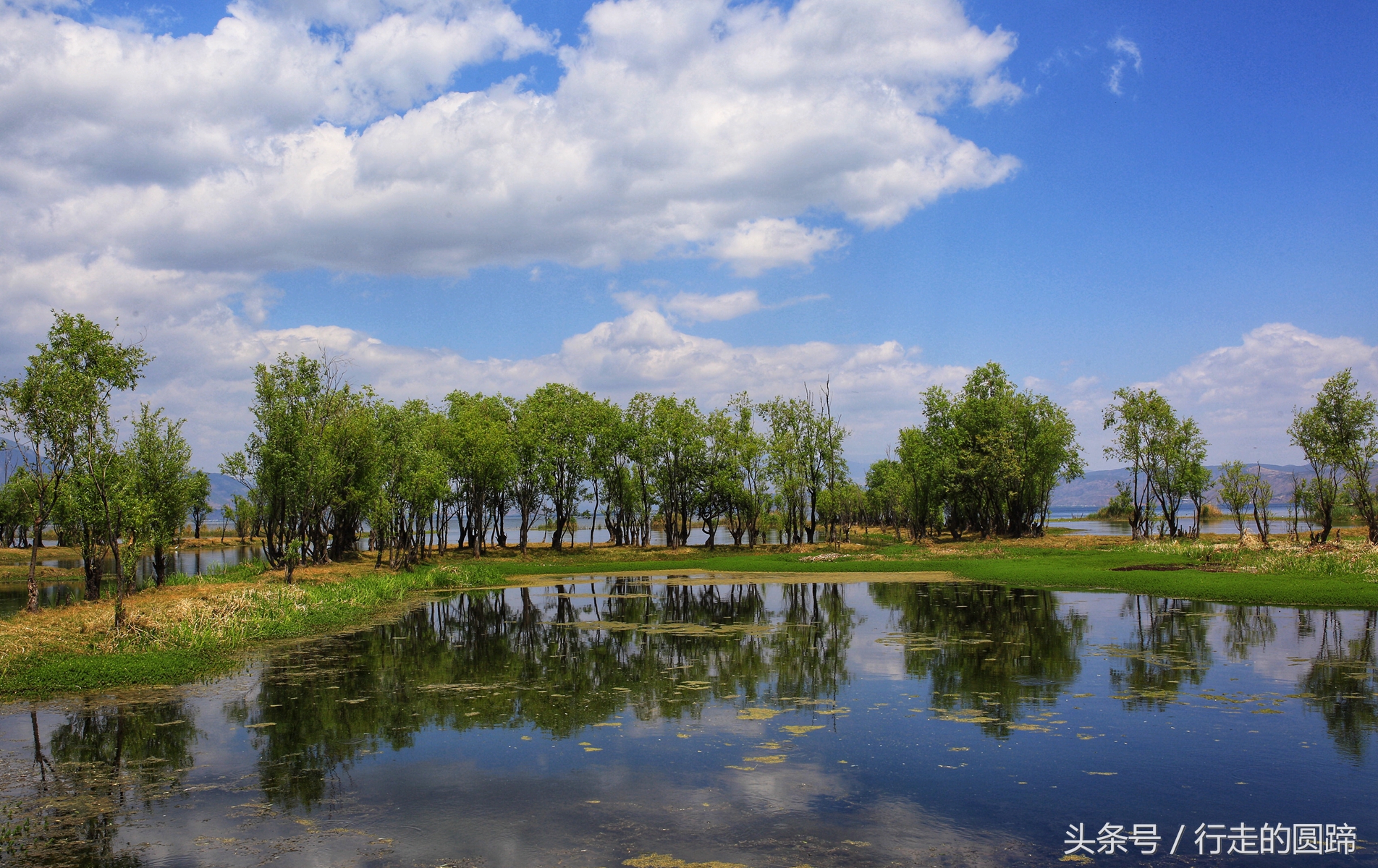 这个被誉为中国10大古镇之首的小镇,到底美在哪里?