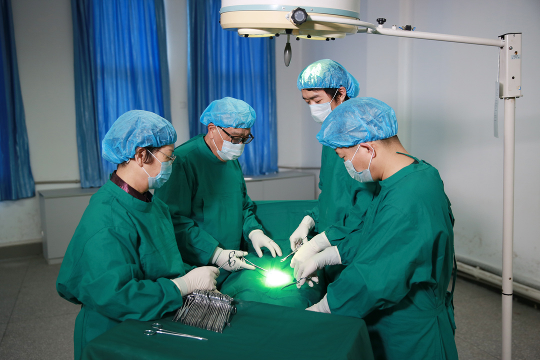 武汉科技大学城市学院会搬走吗,武汉科技大学城市学院介绍