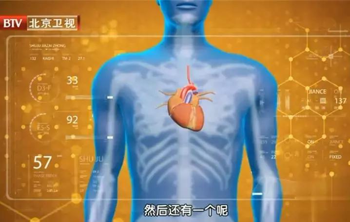 健脾祛湿的秋季茶饮,夏天祛暑湿用什么泡茶好